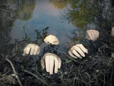 four white gloves are placed in the water