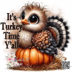 an owl sitting on top of a pumpkin with the words it's turkey time y'all