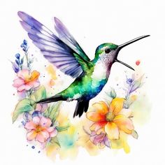 a watercolor painting of a hummingbird and flowers