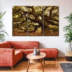 a living room with red couches and two large trees