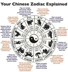 the zodiac wheel is shown with cats and dogs on it, all in black and white