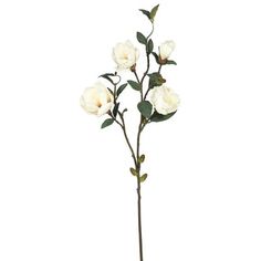 Charlton Home Artificial Cream Magnolia Stem Flower/Leaves Color: Artificial Magnolia, State Flowers, Artificial Floral Arrangements, Black Work, Magnolia Flower, Artificial Flower Arrangements, Faux Florals, Nature Indoors, Faux Flowers