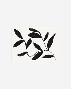 a black and white drawing of leaves