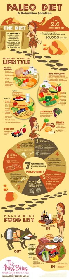 Paleo Diet: A Primitive Solution | Visual.ly Rainbow Ocean, Paleo Diet Food List, Paleolithic Diet, Paleo For Beginners, Paleo Diet Plan, Paleo On The Go, Paleo Life, Recipes Diet, Paleo Lifestyle