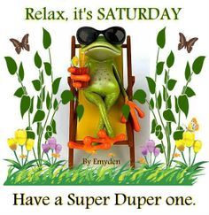 a frog sitting in a lawn chair with sunglasses on it's head and the words relax, it's saturday have a super duper one