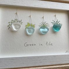 three framed glass hanging plants with the words green in life written below them on white paper