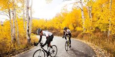 two bicyclists are riding down the road in front of trees with yellow leaves