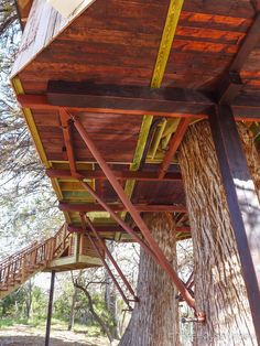 a tree house built into the side of a large tree