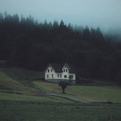 a white house sitting in the middle of a lush green field next to a forest