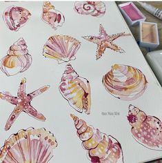 watercolor painting of seashells and starfish on white paper with pink crayons