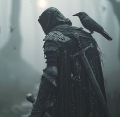 two black birds perched on the back of a man's head in a foggy forest