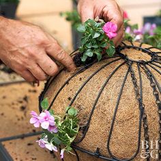 a person placing flowers on top of a planter