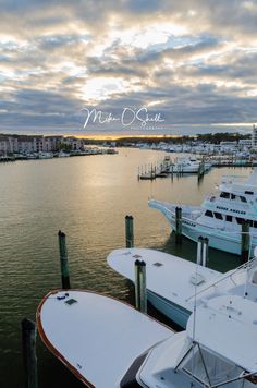 several boats are docked in the water at sunset