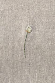 a single white flower sitting on top of a piece of linen