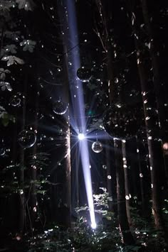 the light is shining through the trees in the dark forest with bubbles floating from them