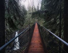 a suspension bridge in the middle of a forest