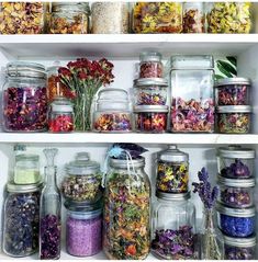 many jars filled with different types of flowers