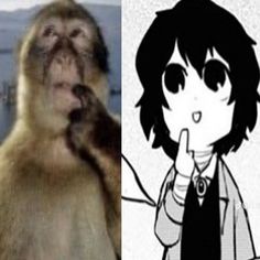 two pictures one with a monkey and the other with an animal