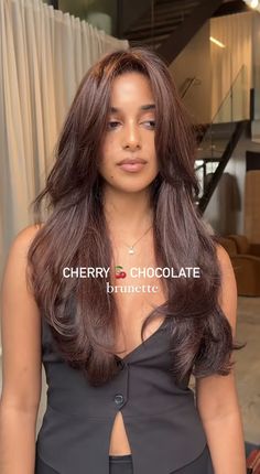 Brown Hair Colour On Black Hair, Hair Dye Brown Shades, Chocolate Dye Hair, What To Dye Brown Hair, Red Brunette Hair Balayage, Hair Dye Chocolate Brown, Cherry Brown Hair Color With Highlights, Cherry Brunette Curly Hair, Cherry Brown Hair Aesthetic