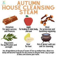 Kitchen Blessing Spell, Witchy Thanksgiving Decor, Cleansing Simmer Pots Witchcraft, Cleanse House, House Cleansing Spell, Manifestation God, Psychic Magic, Simmer Pots, Simmer Pot Recipes