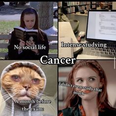 four different pictures with cats and people in the same room, one has an open laptop