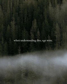 a foggy forest with the words when understanding dies, go winn't