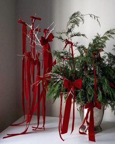 two vases filled with plants and tied in red ribbon on top of a table