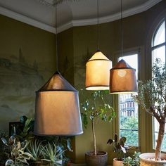 several potted plants sit in front of two lamps on the windowsill, and one is hanging from a ceiling fixture