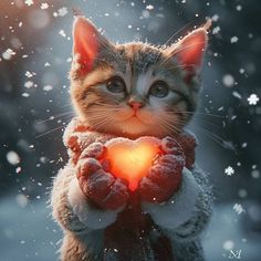 a cat holding a heart shaped light in it's hands with snow falling on the ground