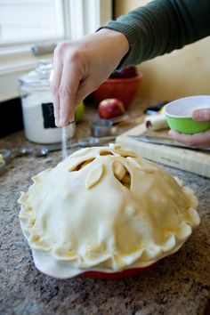 a person cutting into a pie on top of a counter