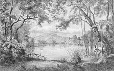 an old drawing of a river surrounded by trees