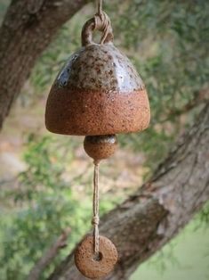 a bird feeder hanging from a tree branch