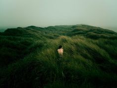 a person standing in tall grass on top of a hill