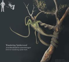 an image of a strange creature stuck in a tree with the caption wandering spideweed