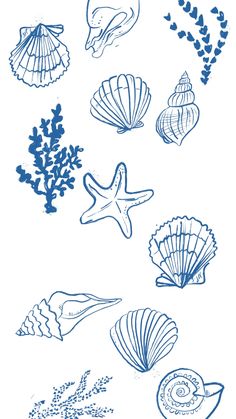 blue ink drawings of seashells and corals