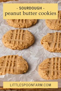 peanut butter cookies on parchment paper with text overlay