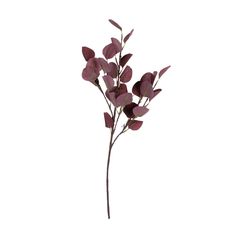 Eucalyptus leaves that turn a brownish-reddish color can be signs of a problem with the tree, so if it's a burgundy color you want for decorative eucalyptus leaves, it's far better to use these faux leaves. These lovely stems have a rich, burgundy color that looks great in DIY centerpieces or home décor projects. Add these eucalyptus stems to your reception decorations list for a unique look. Polyester. (2 pcs. per unit) 25 1/2" Burgundy Eucalyptus, Eucalyptus Stems, Faux Leaf, Fabric Spray, Rich Burgundy, Eco Printing, Diy Centerpieces, Home Decor Projects, Floral Accessories