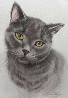 a drawing of a gray cat with yellow eyes