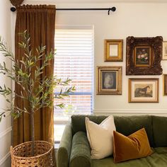 a living room with green couches and pictures on the wall above them, along with a potted plant