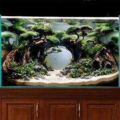 an aquarium filled with lots of plants and rocks in front of a wooden cabinetd wall