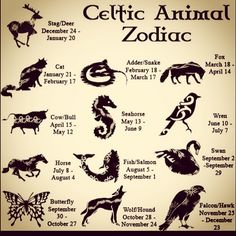 an animal zodiac chart with all the animals in it's respective positions and numbers