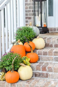 pumpkins and gourds are lined up on the steps