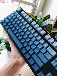 a hand holding a computer keyboard in front of a window with potted plants behind it