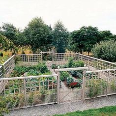 an outdoor garden with many plants growing in the ground and on top of metal railings