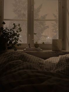 a bedroom scene with focus on the bed and plants in the window sill at night