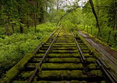 an old train track is covered in moss