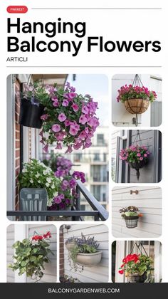 hanging balcony flowers are an easy way to add color and interest to any space in the house