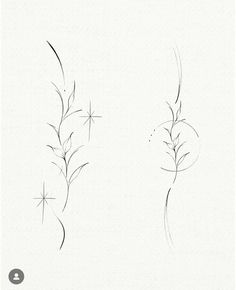 three different types of flowers drawn in pencil on white paper, each with one single flower