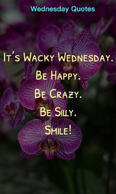 purple flowers with the words it's wacky wednesday be happy be crazy be silly smile