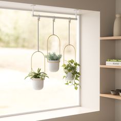 Introducing Triflora, the ultimate indoor hanging planter! It combines the practicality of a drapery rod with the beauty of potted plants. Perfect for herbs, succulents, and vine plants, Triflora hangs on your wall or ceiling and transforms your window into a green oasis. But what makes Triflora truly special is its lightweight design. Made from durable recycled molded polypropylene, it stays light even with plants inside. Plus, you can easily adjust the length of its ropes and slide them anywhe Balcony Hanging Plants Railings, Over The Window Shelf, Kitchen Window Ideas Decor, Vine Plants, Wall Hanging Decorations, Natural Branches, Plant Mama, Window Plants, Hanging Planters Indoor